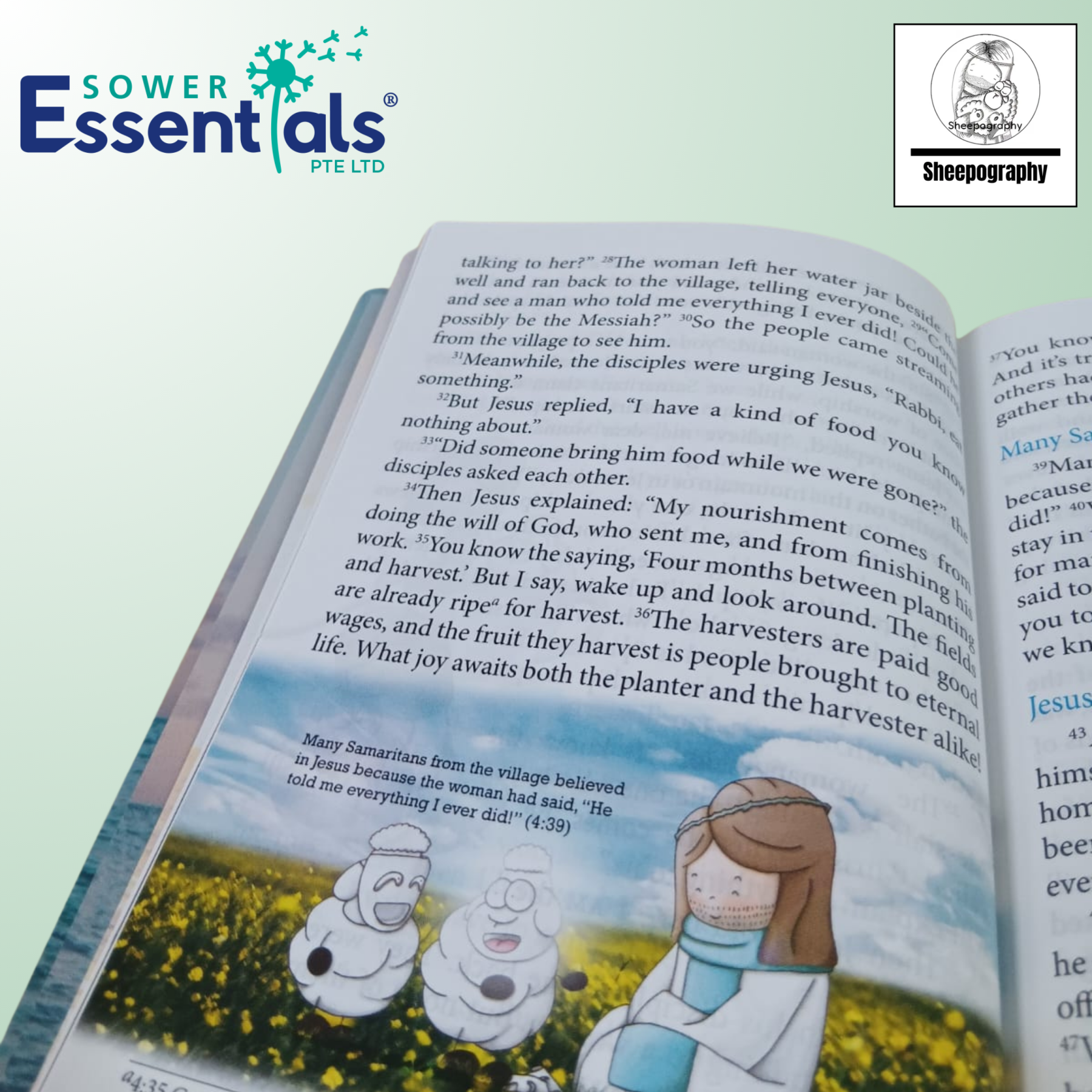 Sheepography - The Life Of The Shepherd King (Hardcover)