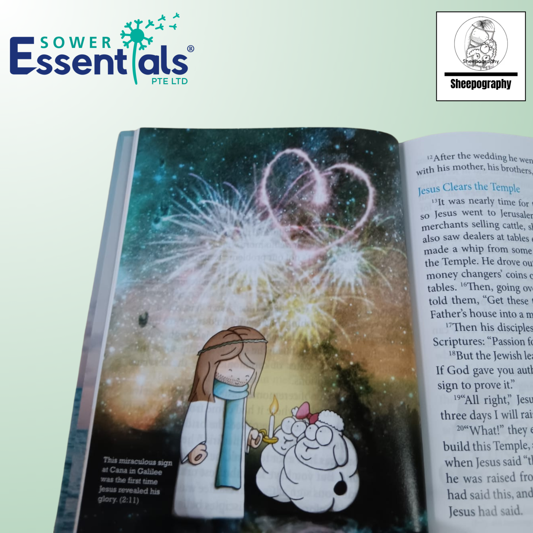 Sheepography - The Life Of The Shepherd King (Hardcover)