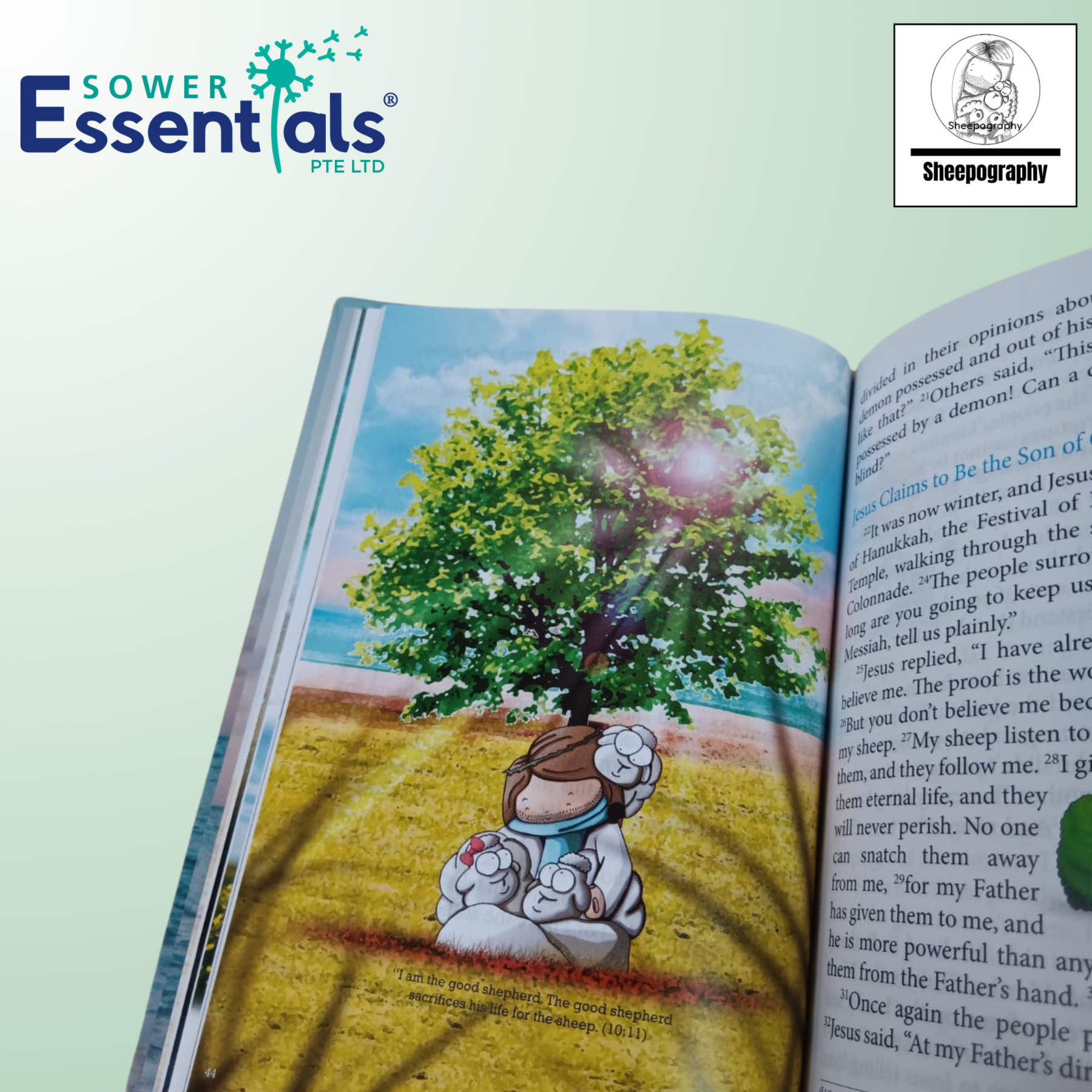 Sheepography - The Life Of The Shepherd King (Hardcover)