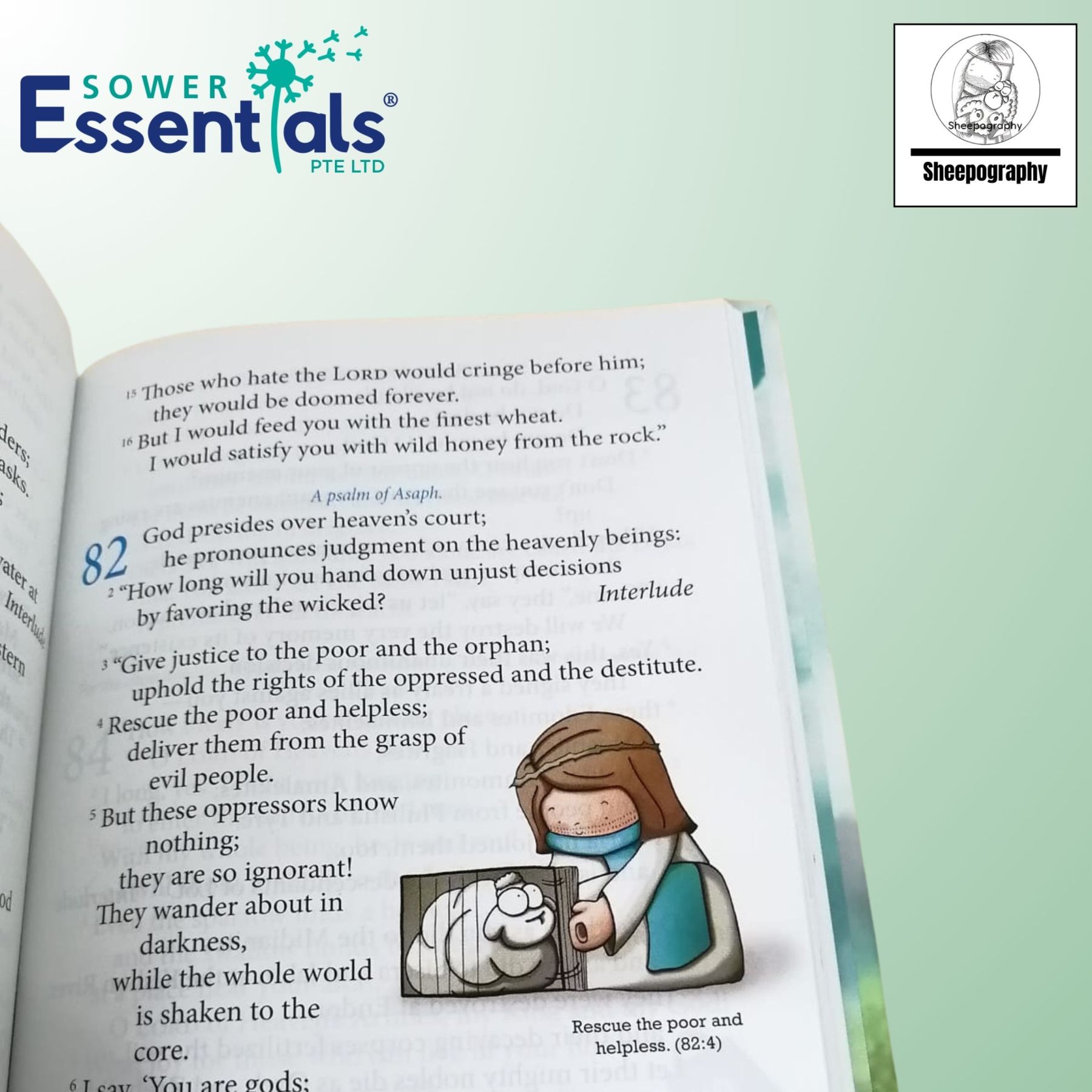 Sheepography - Psalms of the Shepherd King (hardcover)