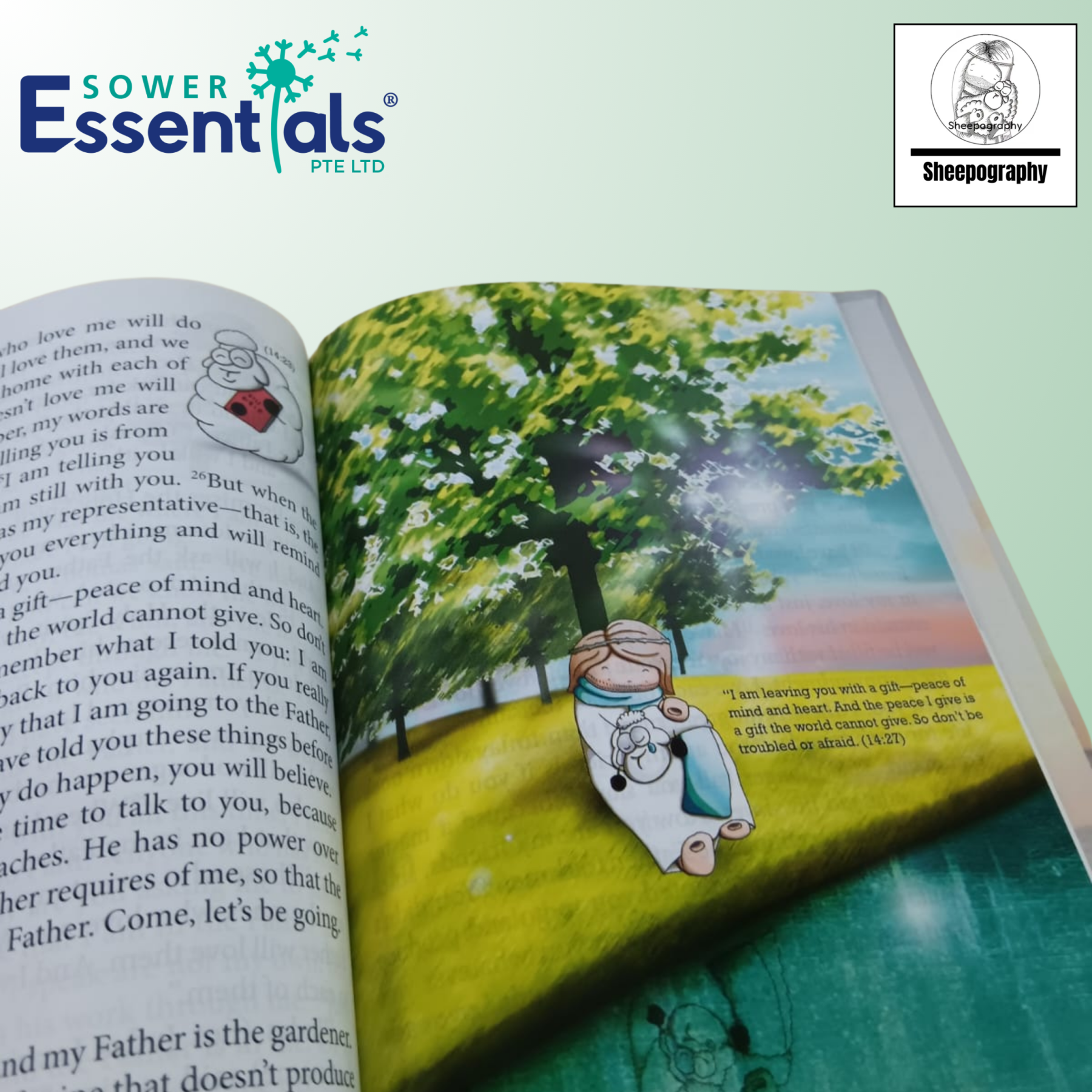 Sheepography - The Life Of The Shepherd King (Hardcover)