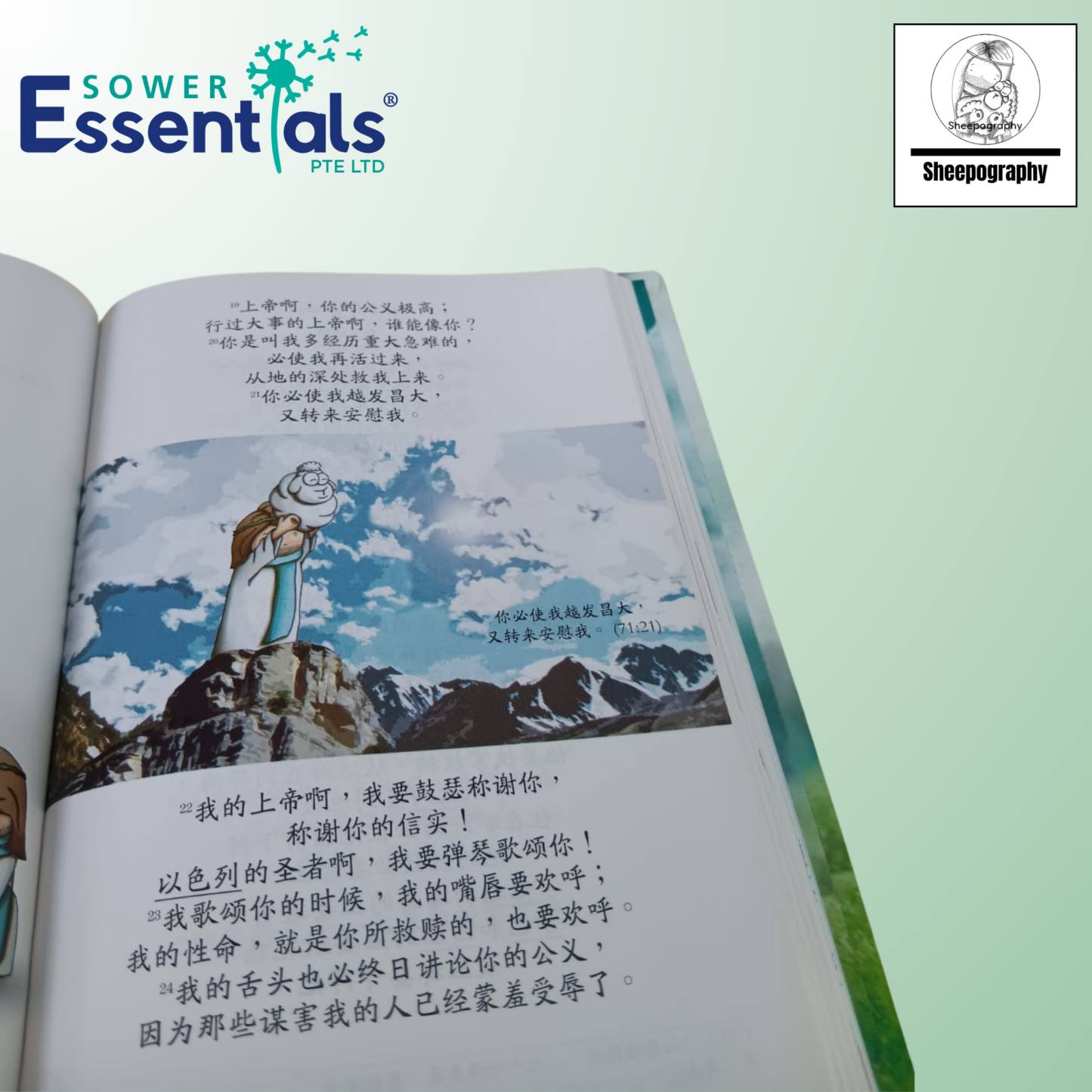Sheepography - Psalms of the Shepherd King (Chinese) Paperback