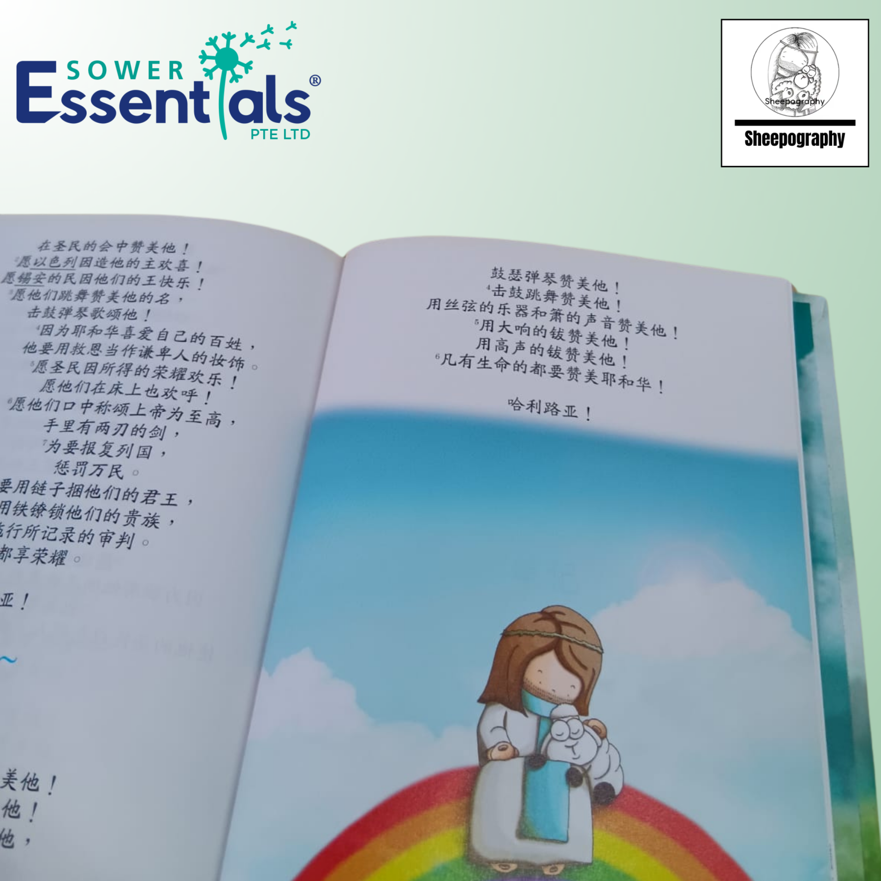 Sheepography - Psalms of the Shepherd King (Chinese) Hardcover