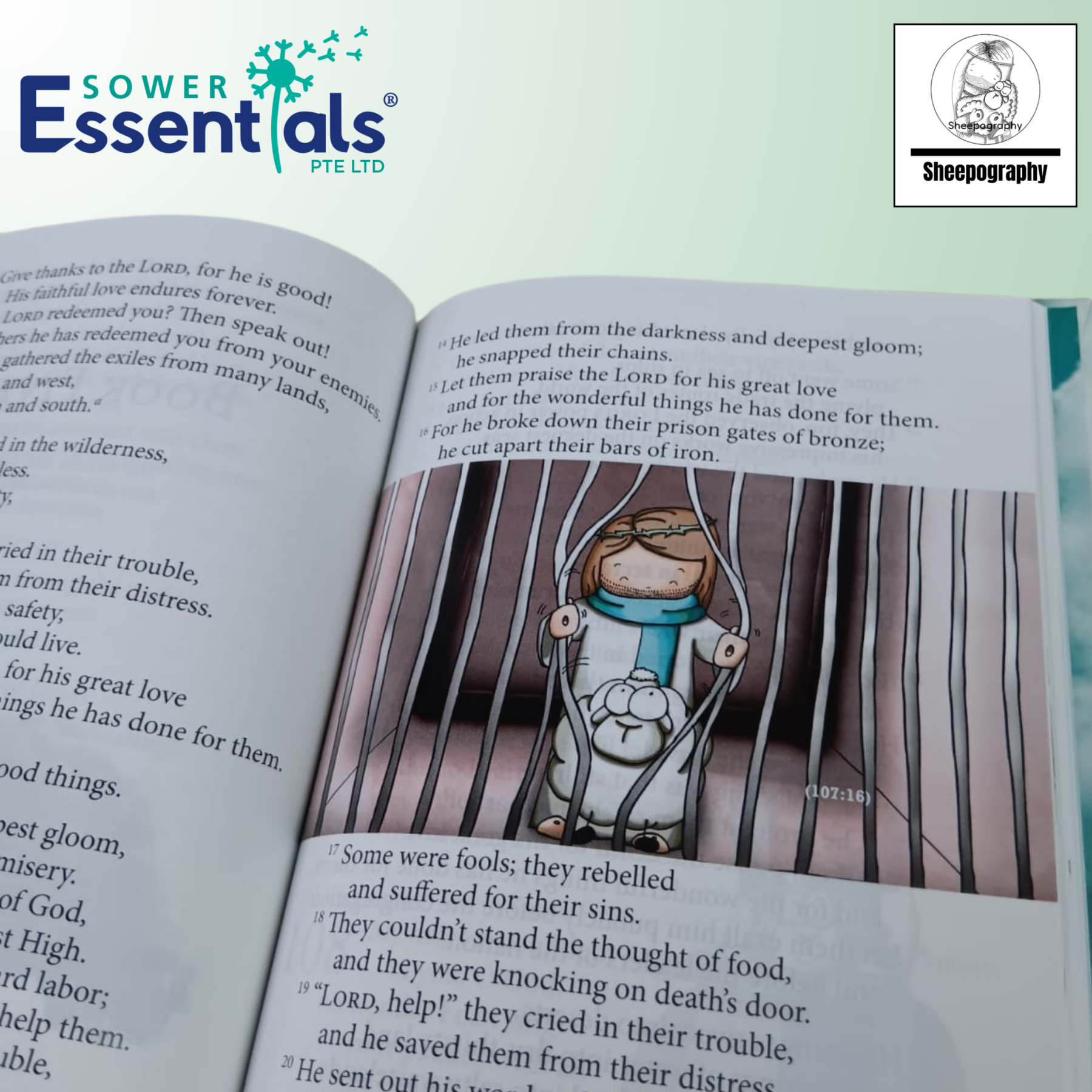 Sheepography - Psalms of the Shepherd King (Hardcover)