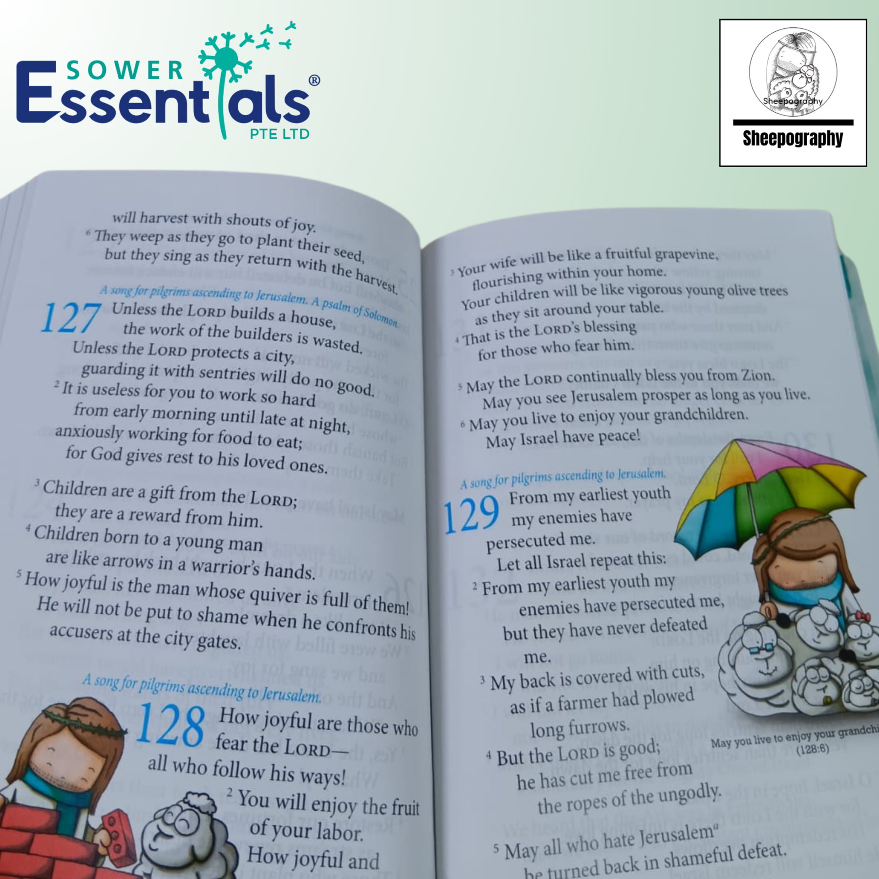 Sheepography - Psalms of the Shepherd King (Hardcover)