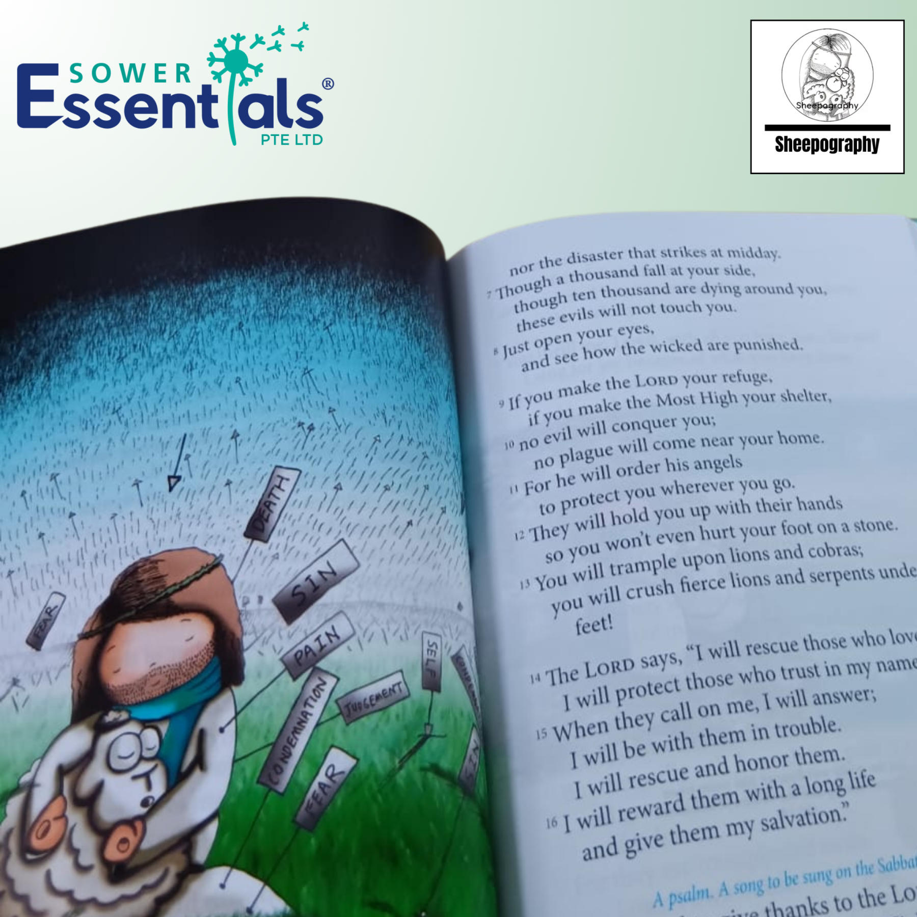 Sheepography - Psalms of the Shepherd King (Hardcover)