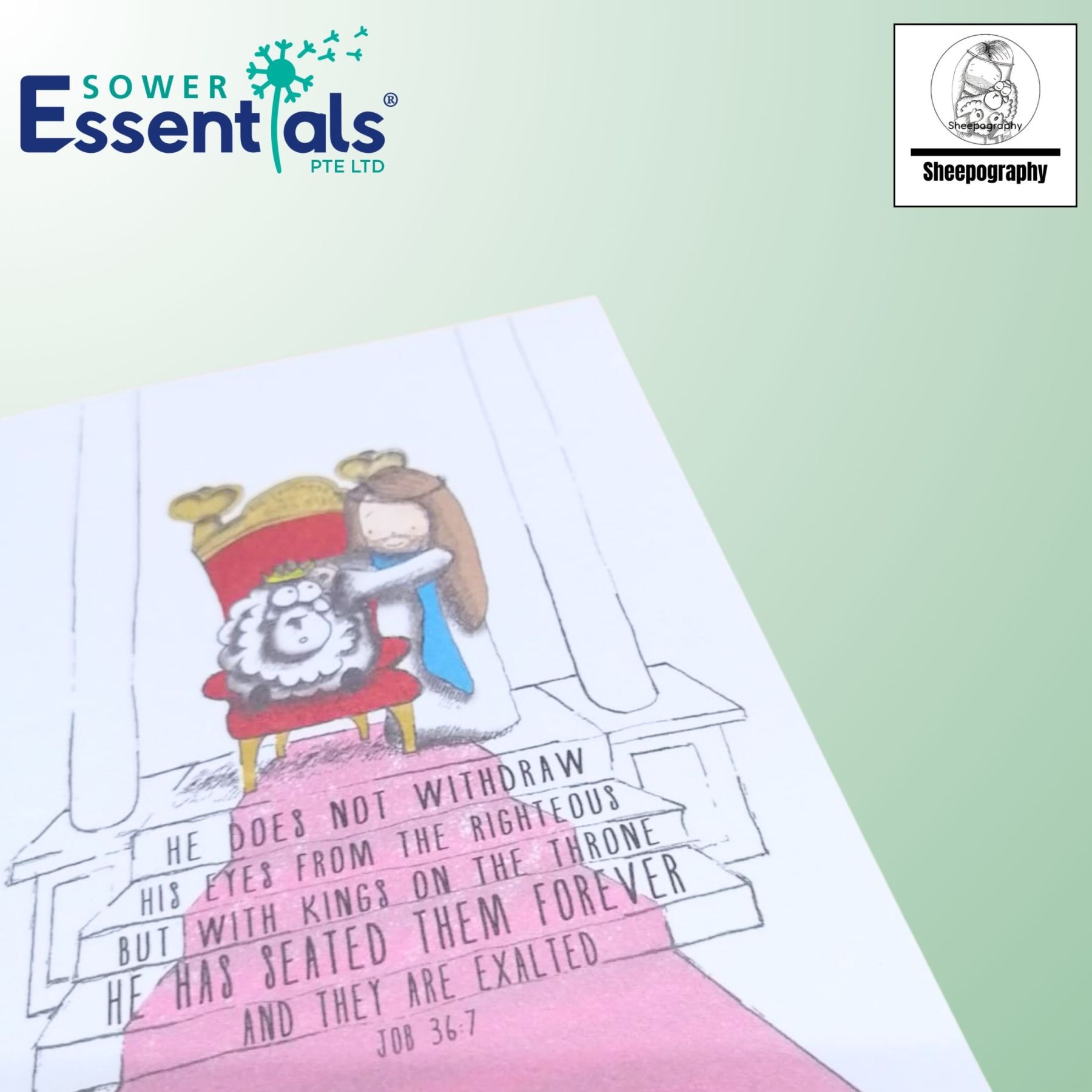 Sheepography Card - Job 36:7