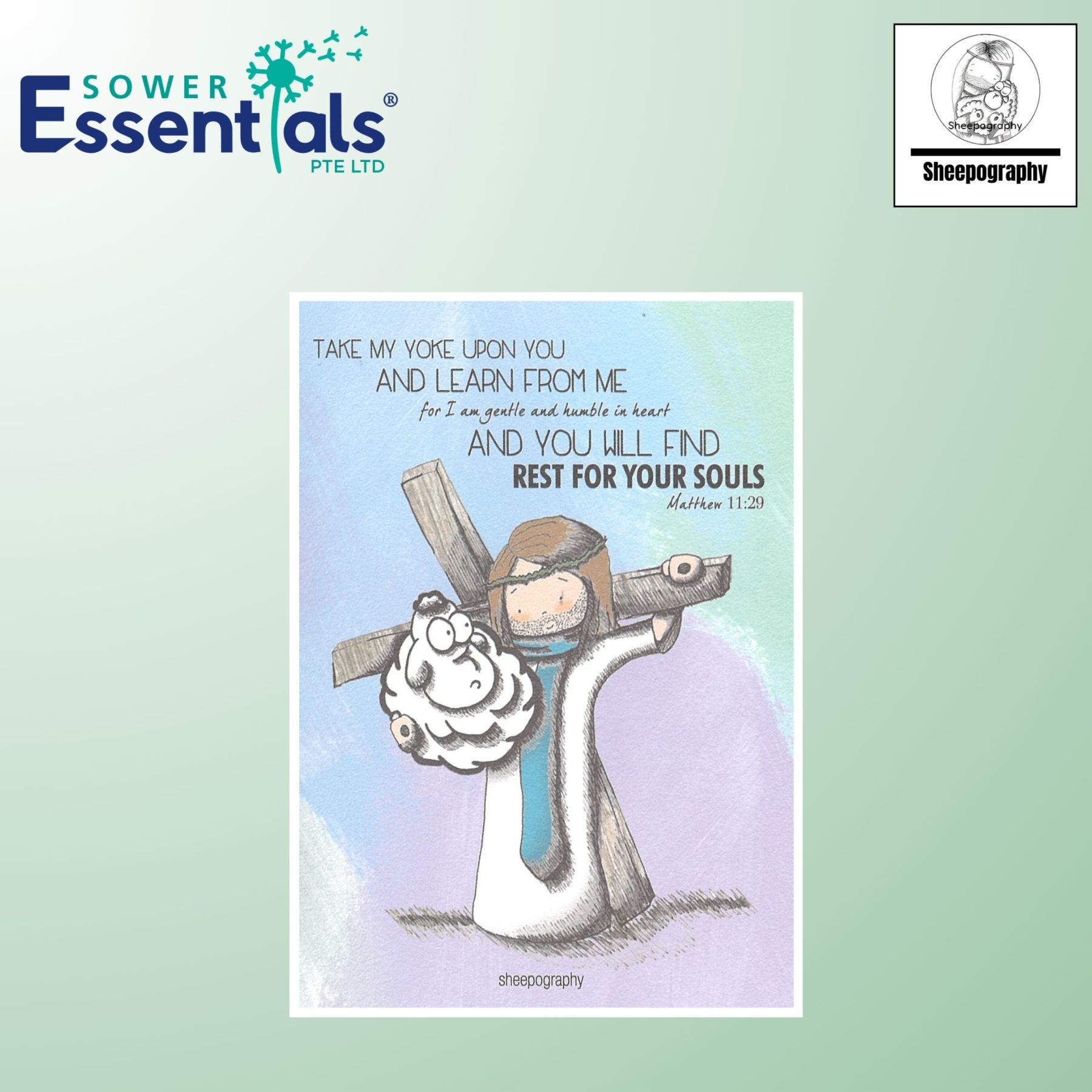 Sheepography Card - Matthew 11:29