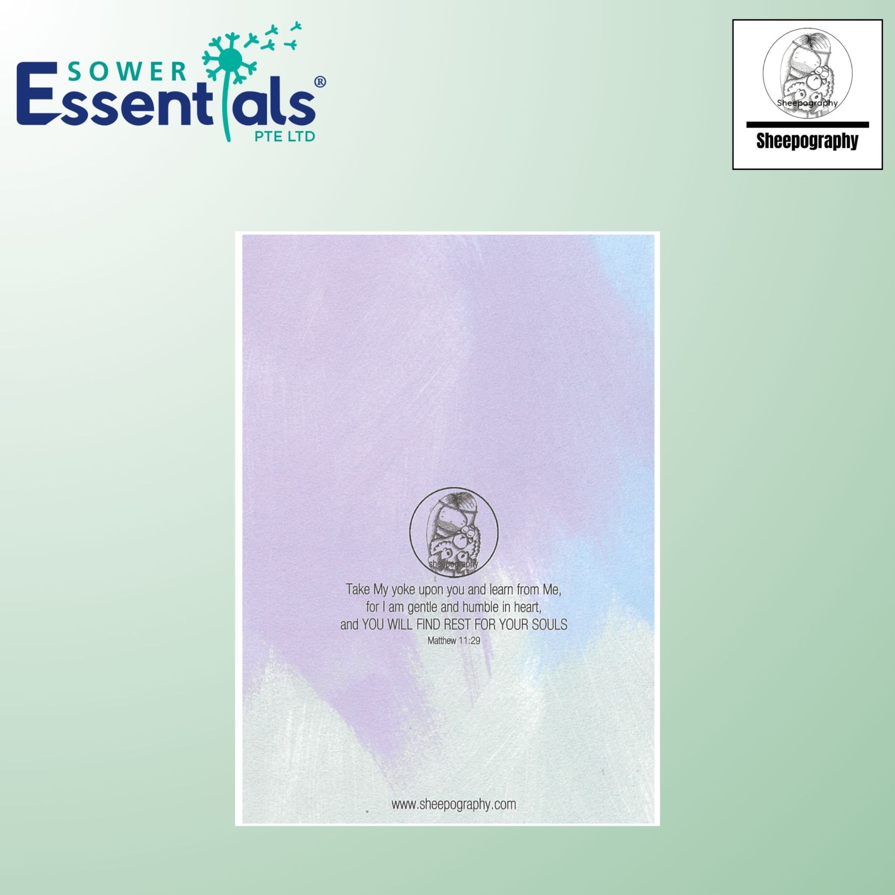 Sheepography Card - Matthew 11:29