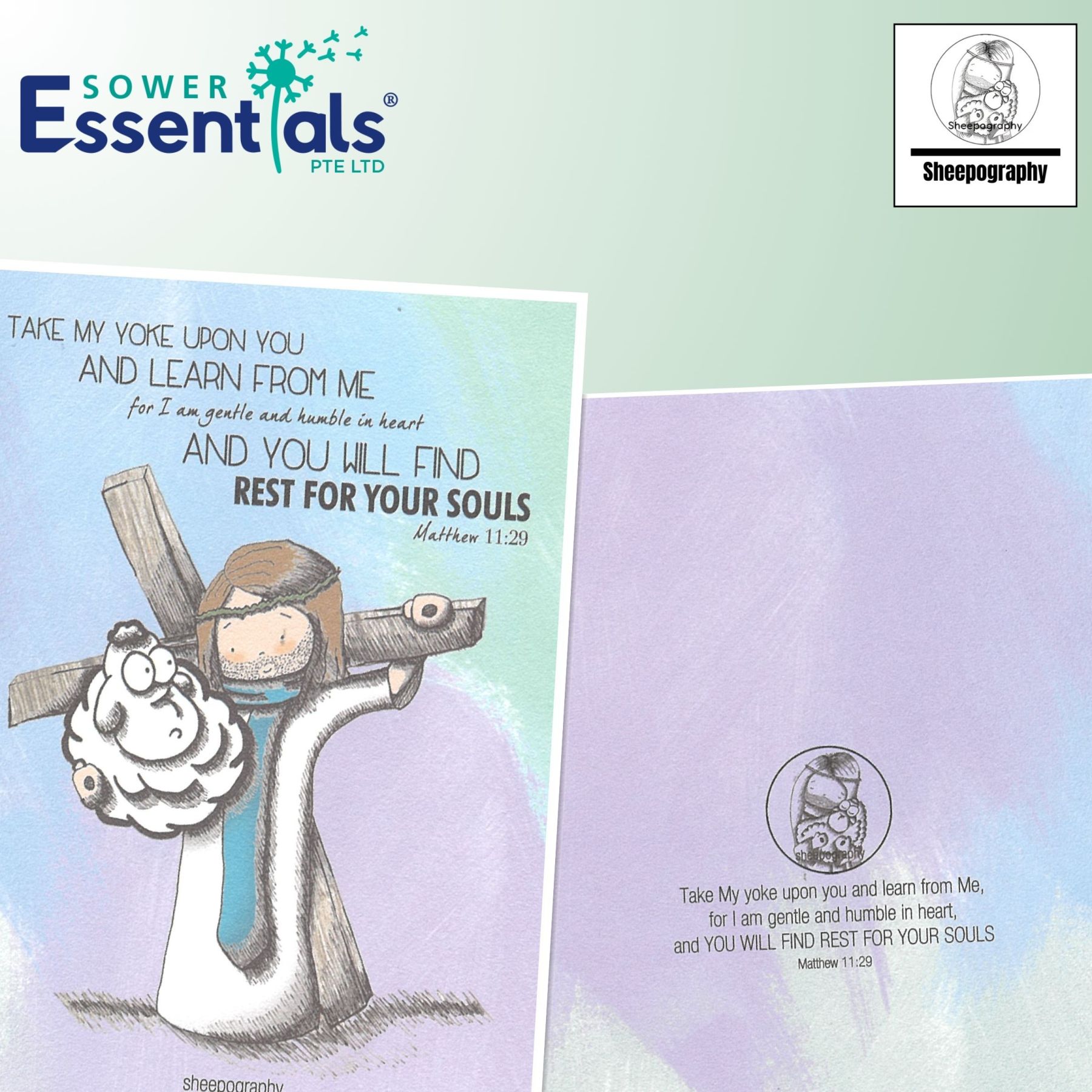 Sheepography Card - Matthew 11:29