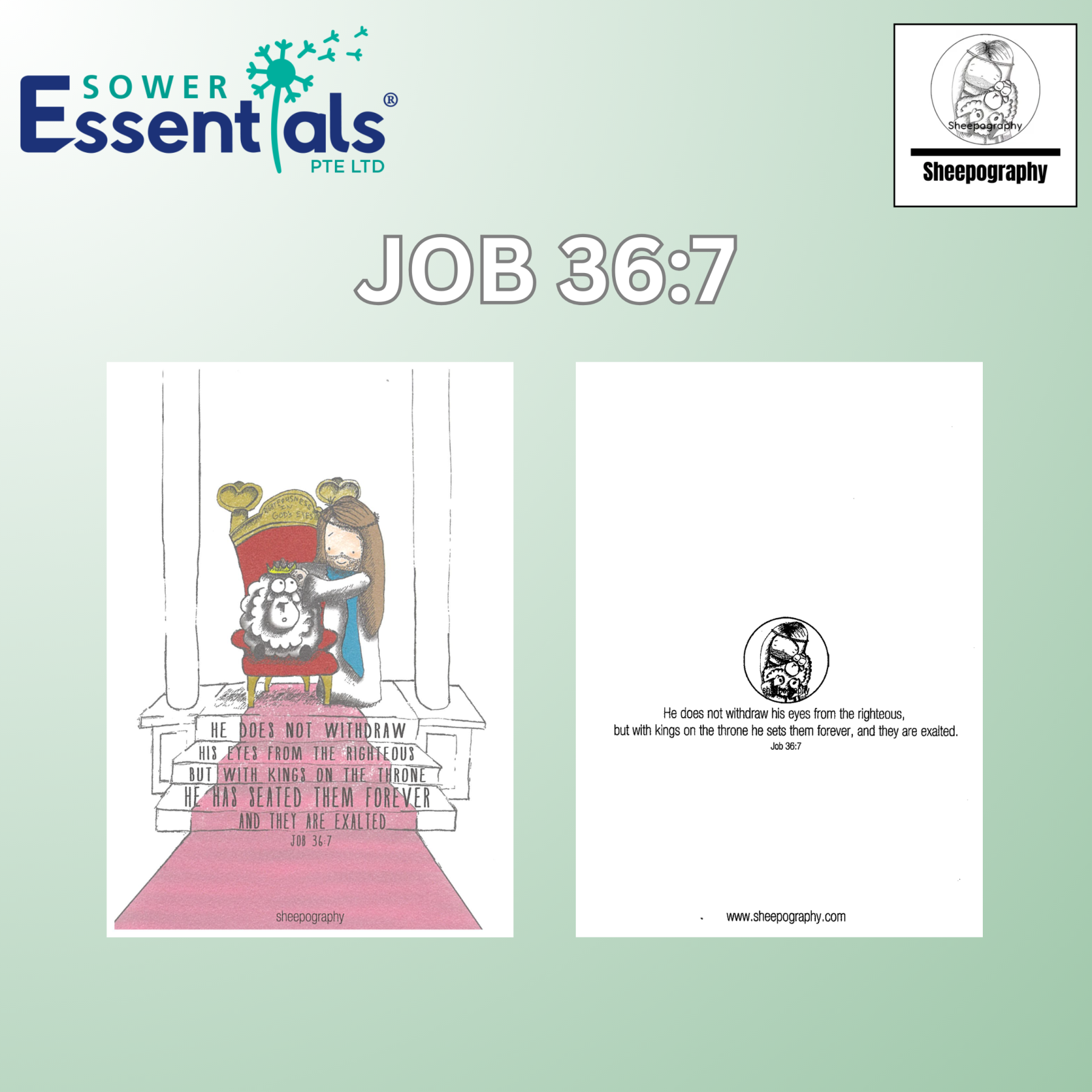 Sheepography Cards - Set of 7 pcs