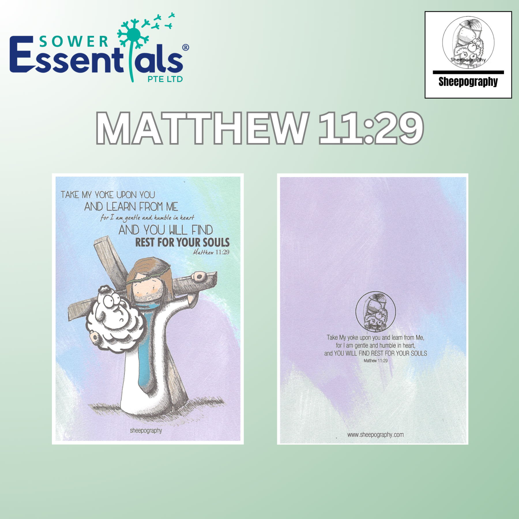 Sheepography Cards - Set of 7 pcs