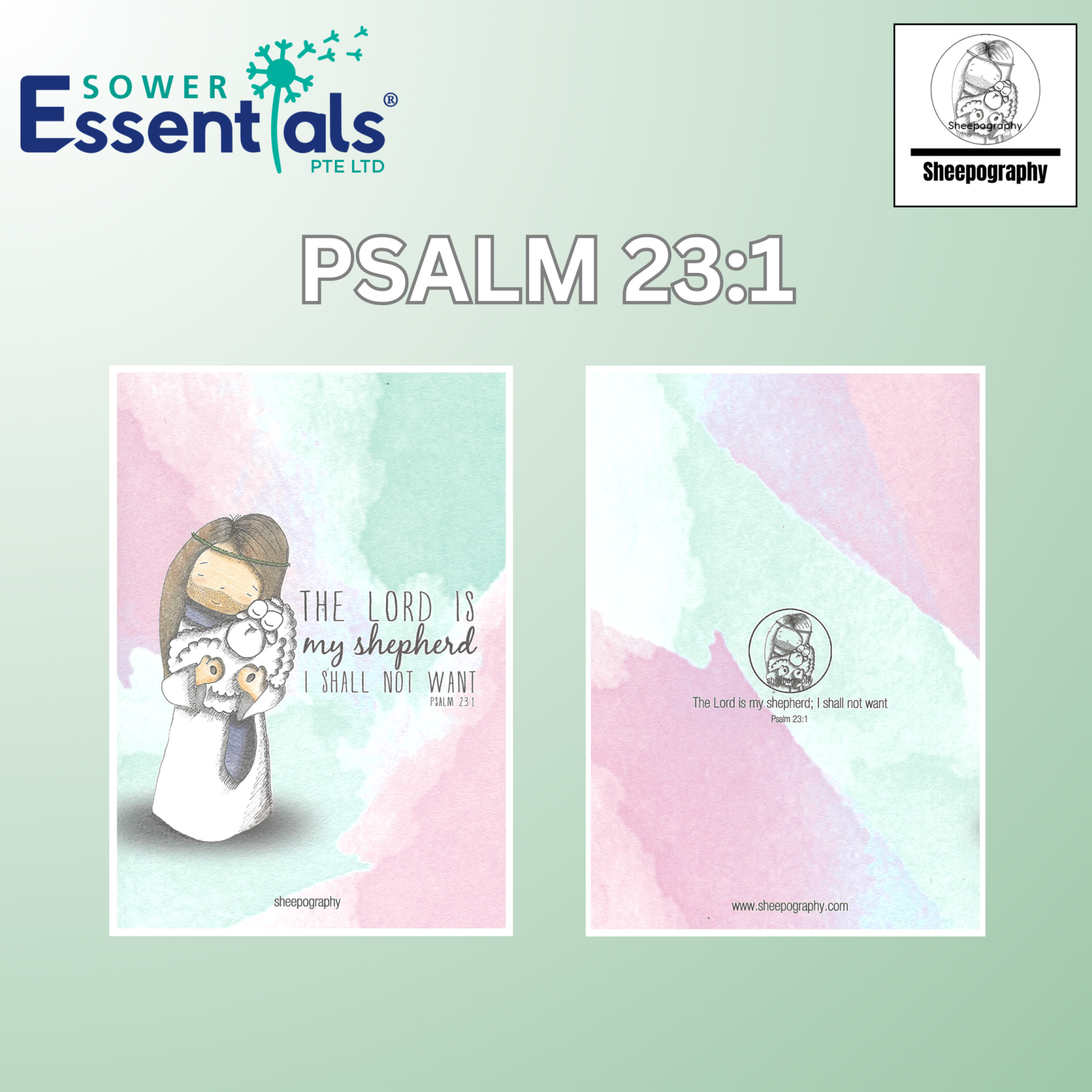 Sheepography Cards - Set of 7 pcs