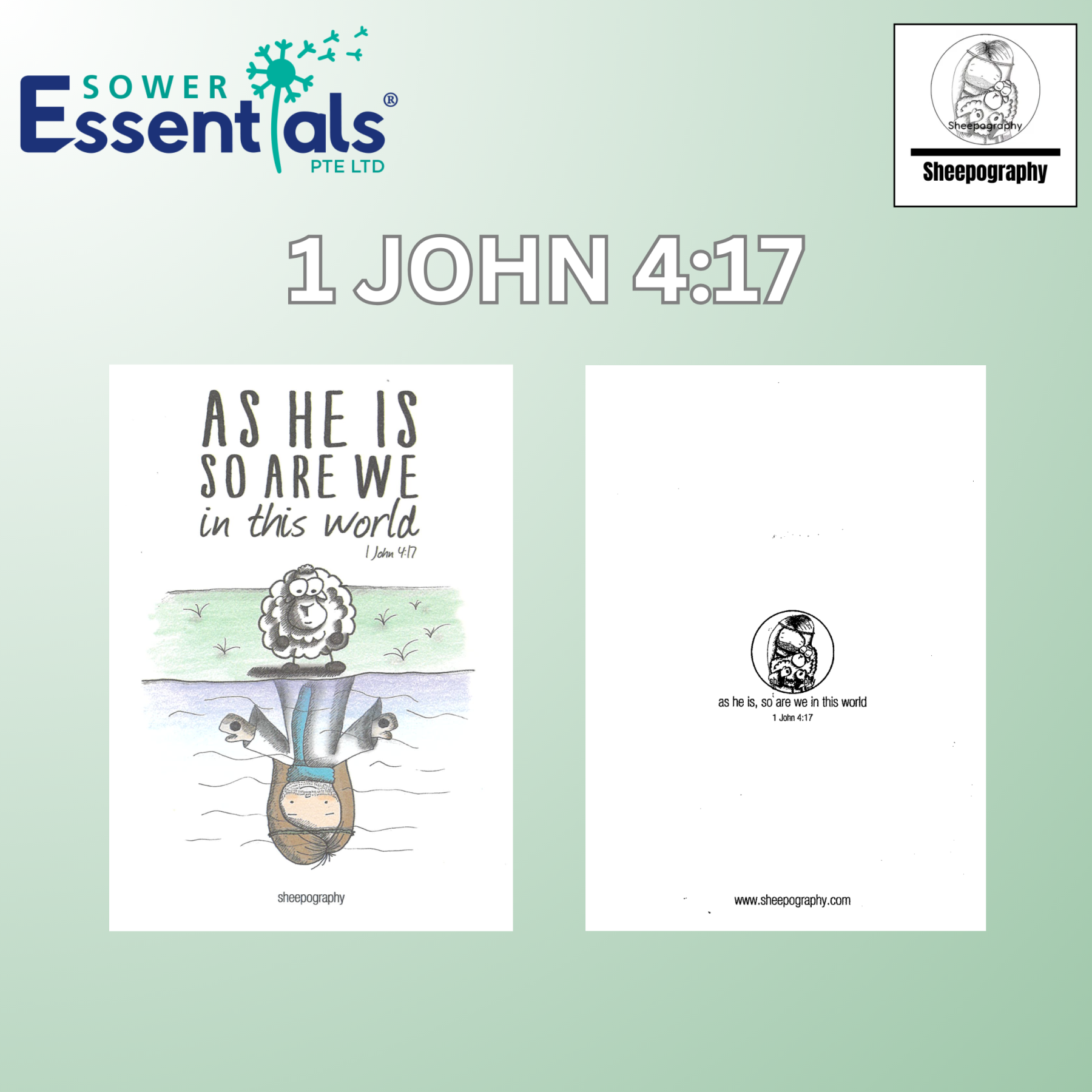 Sheepography Cards - Set of 7 pcs