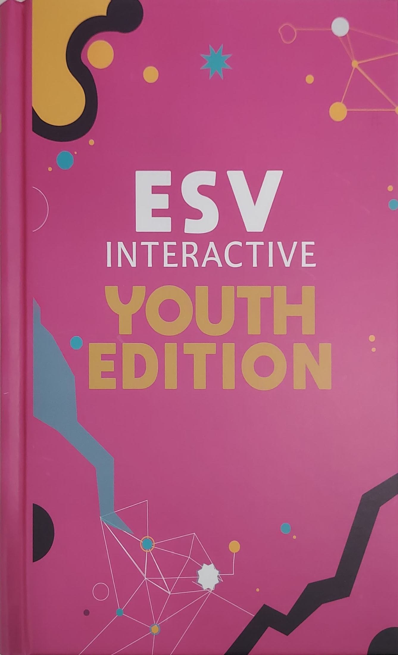 ESV Interactive Youth Edition (Pink)