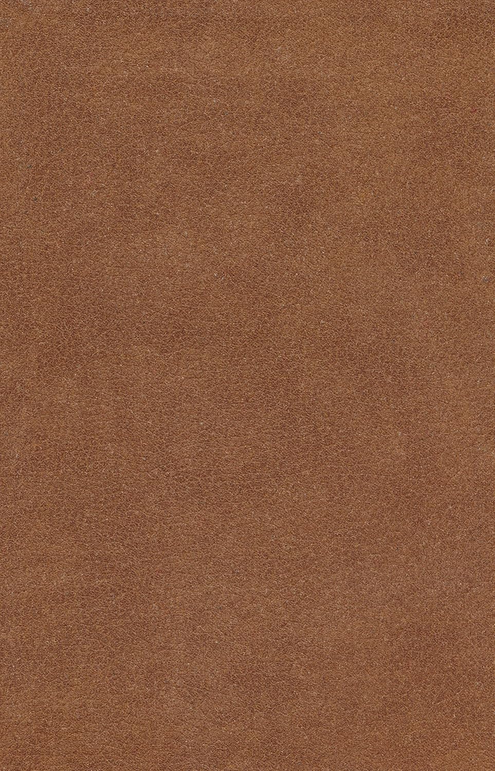 ESV Holy Bible, Value Edition, Bonded Leather, Brown