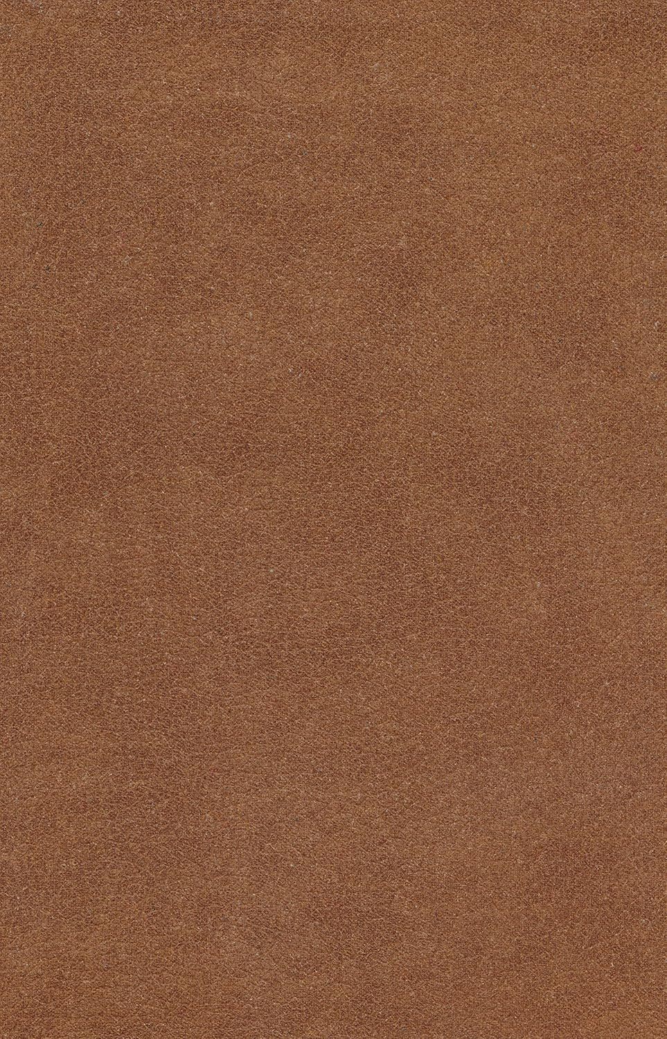ESV Holy Bible, Value Edition, Bonded Leather, Brown
