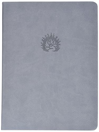 NKJV Reformation Study Bible, 2016 Edition, Light Gray Imitation Leather