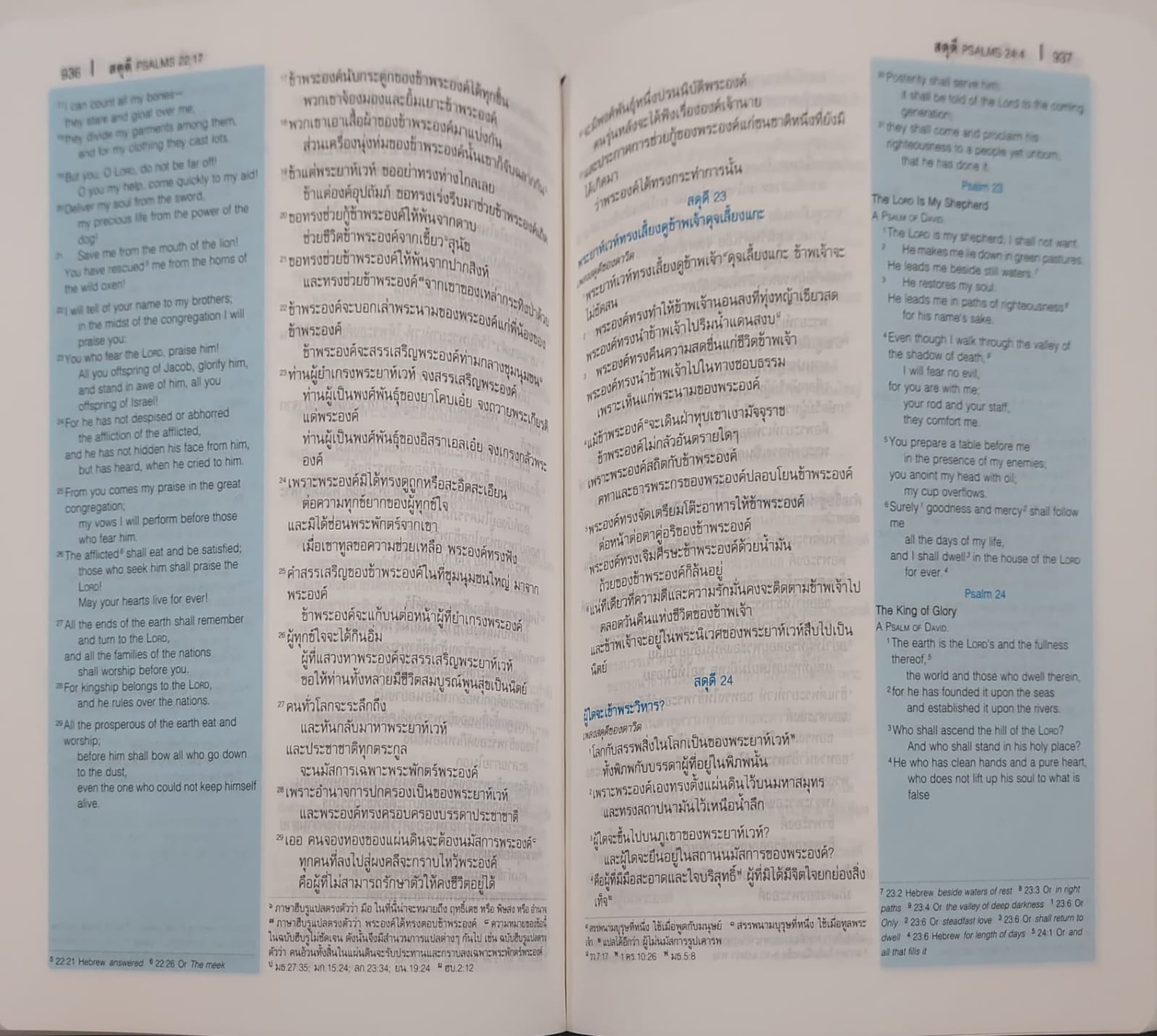 ThSV-ESV42 PLDI Blue Vinyl