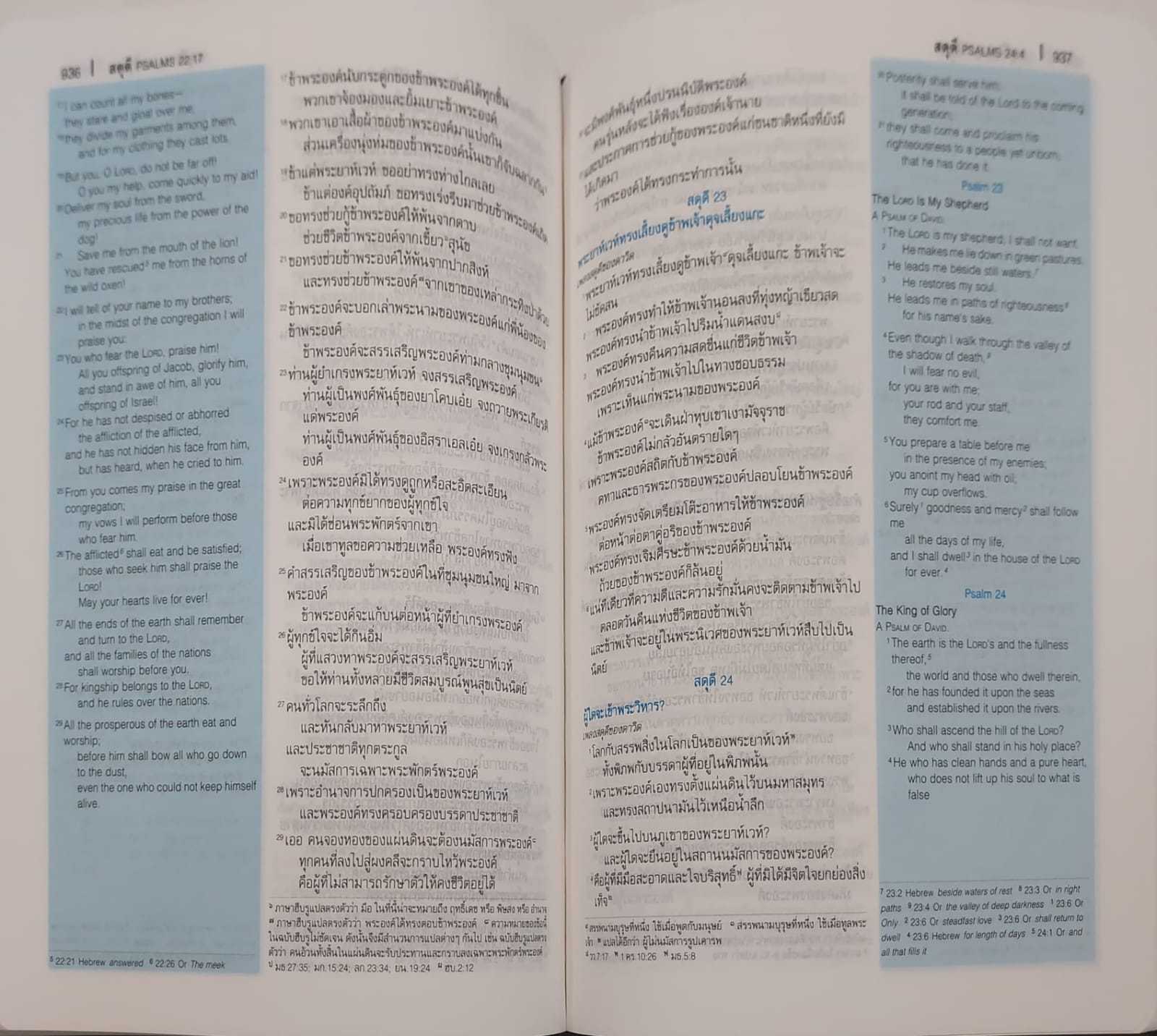 ThSV-ESV42 PLDI Blue Vinyl