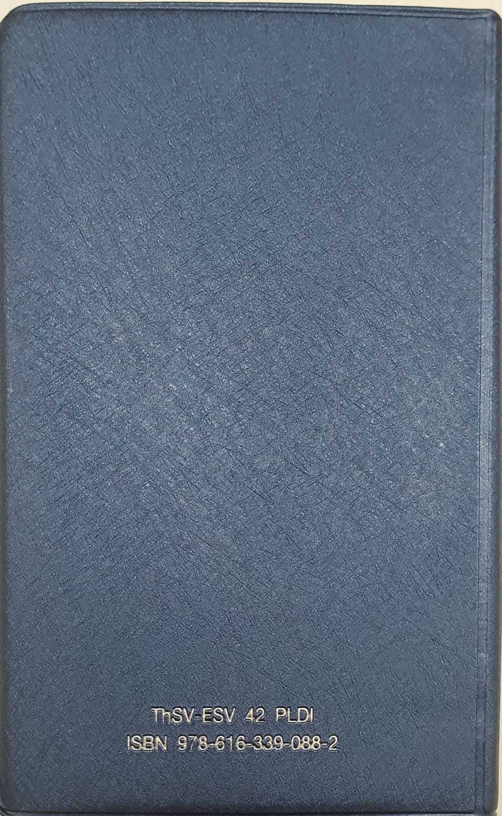 ThSV-ESV42 PLDI Blue Vinyl