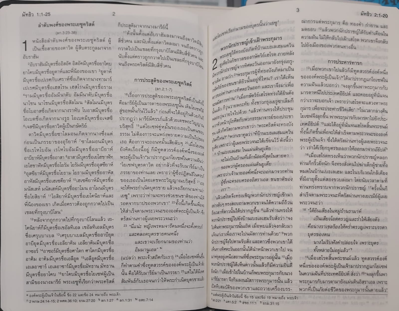 ThSV362 PL Blue Vinyl (NT+Psalm+Proverbs)