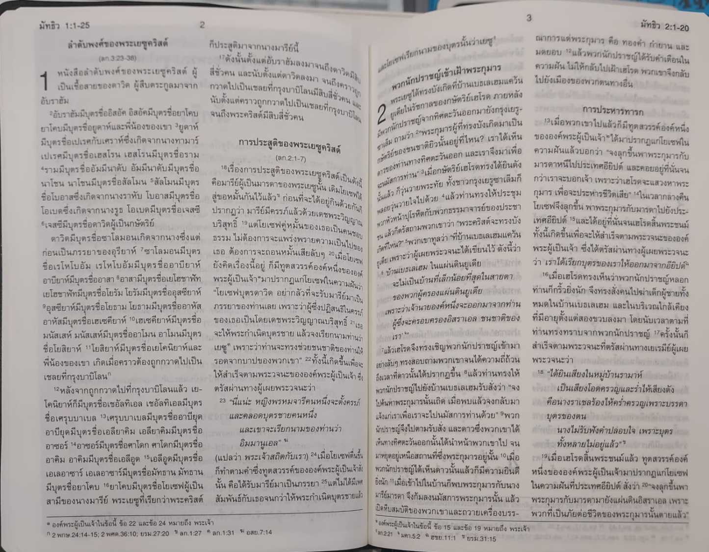ThSV362 PL Blue Vinyl (NT+Psalm+Proverbs)