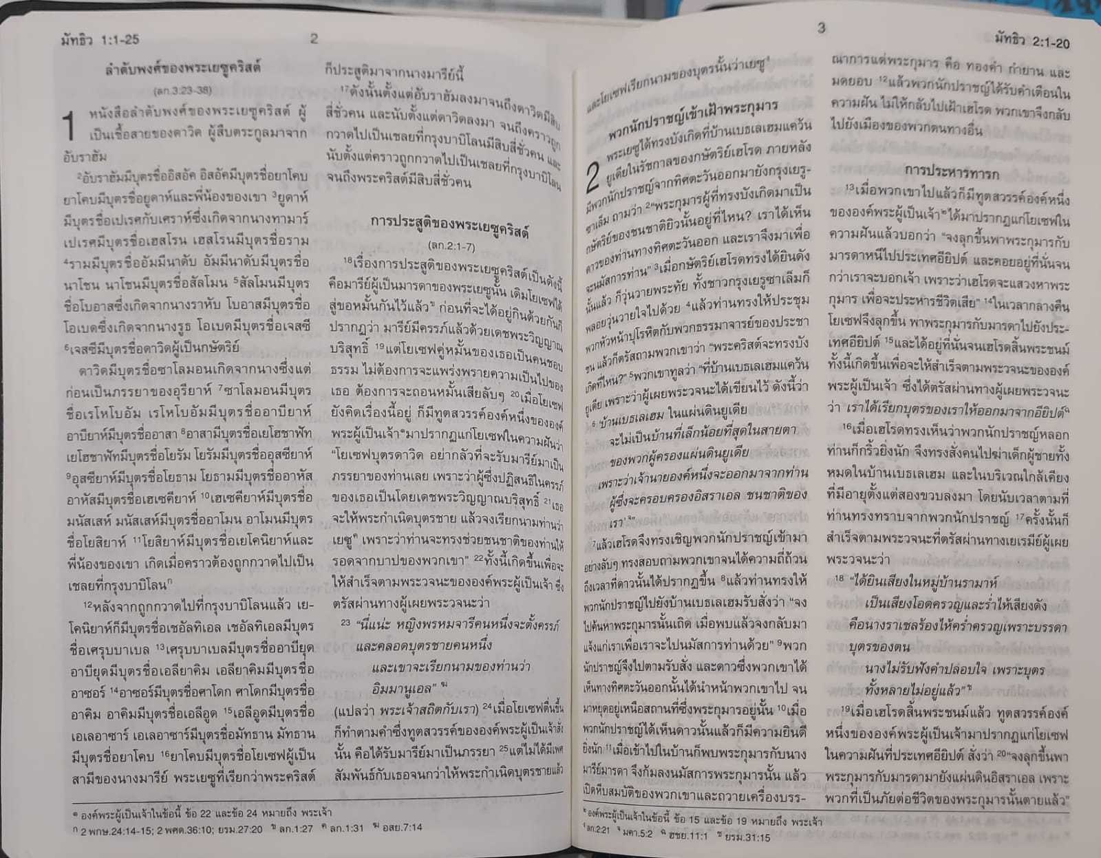 ThSV362 PL Blue Vinyl (NT+Psalm+Proverbs)