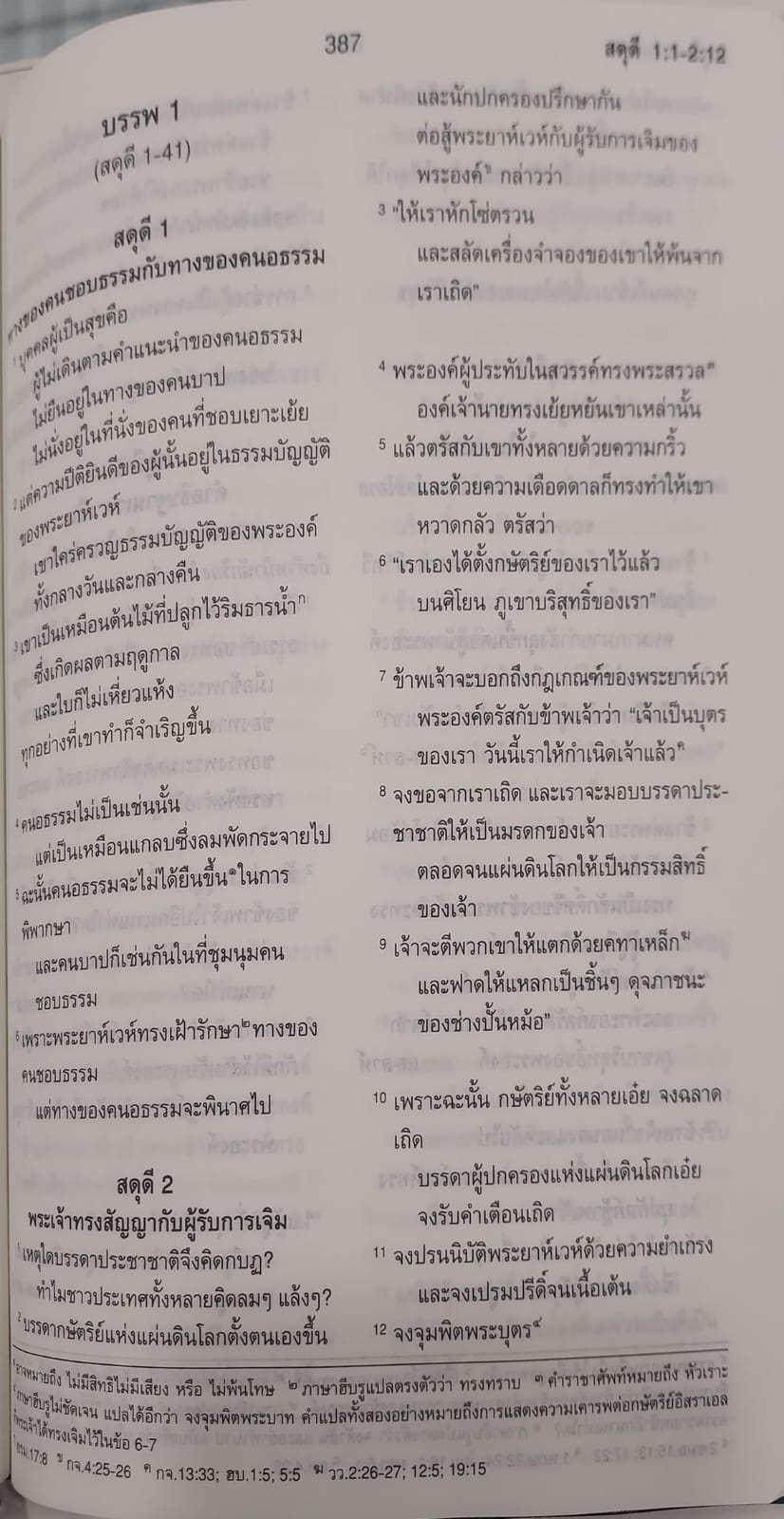 ThSV362 PL Blue Vinyl (NT+Psalm+Proverbs)