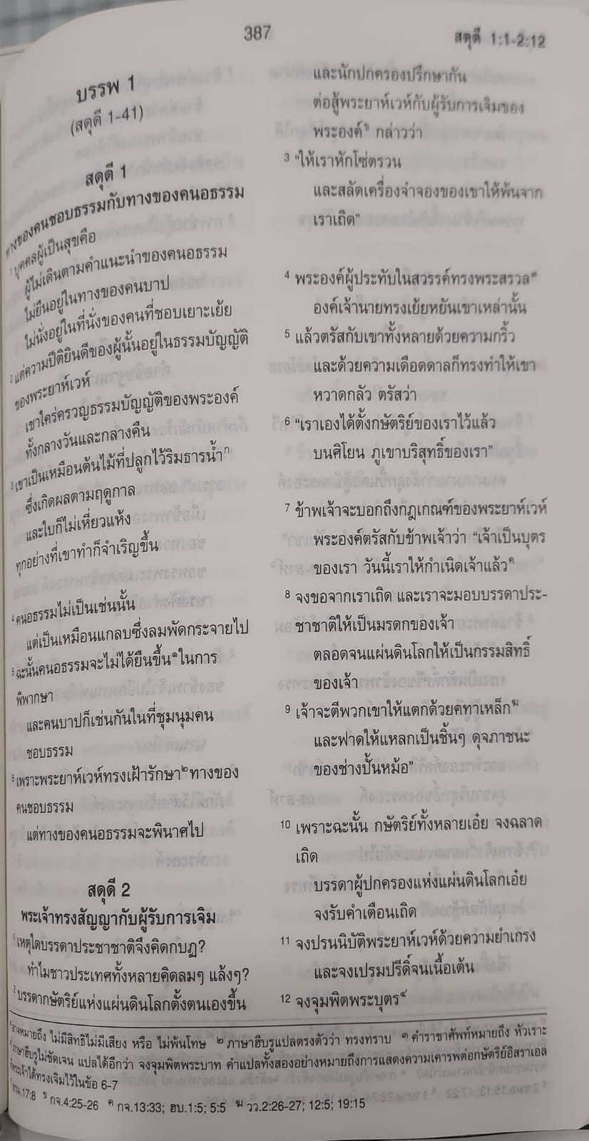 ThSV362 PL Blue Vinyl (NT+Psalm+Proverbs)