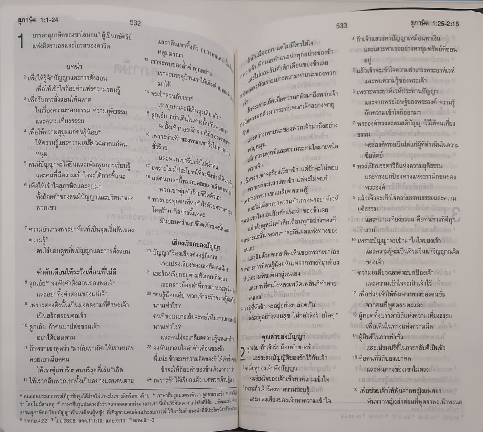 ThSV362 PL Blue Vinyl (NT+Psalm+Proverbs)