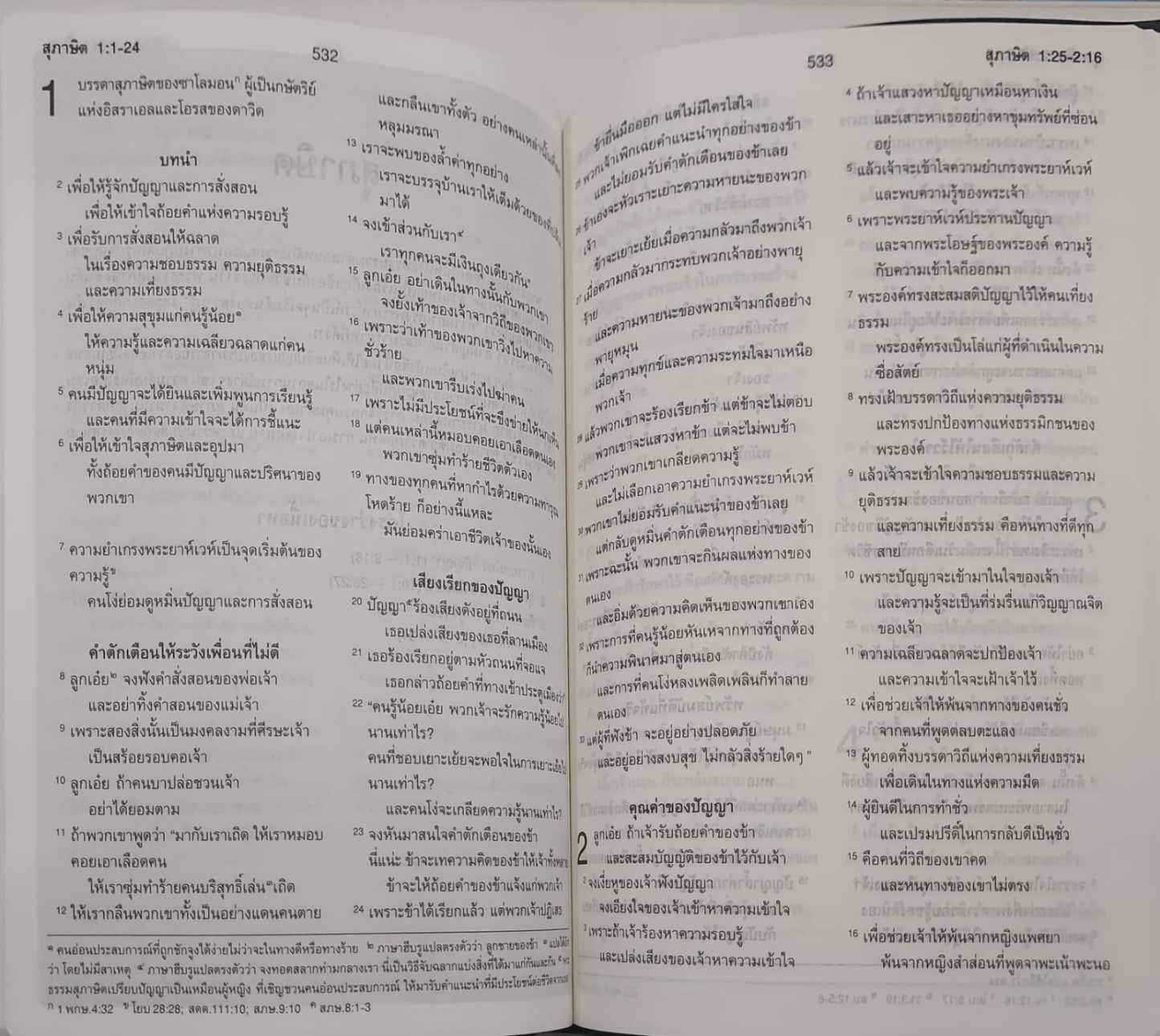 ThSV362 PL Blue Vinyl (NT+Psalm+Proverbs)