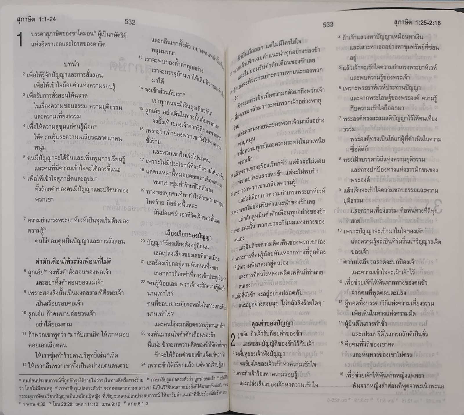 ThSV362 PL Blue Vinyl (NT+Psalm+Proverbs)
