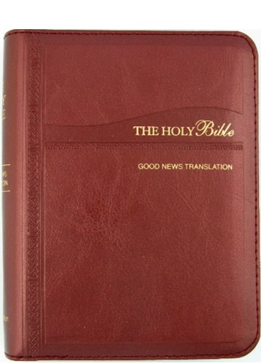 GNT035CZ Holy Bible Zip Burgundy