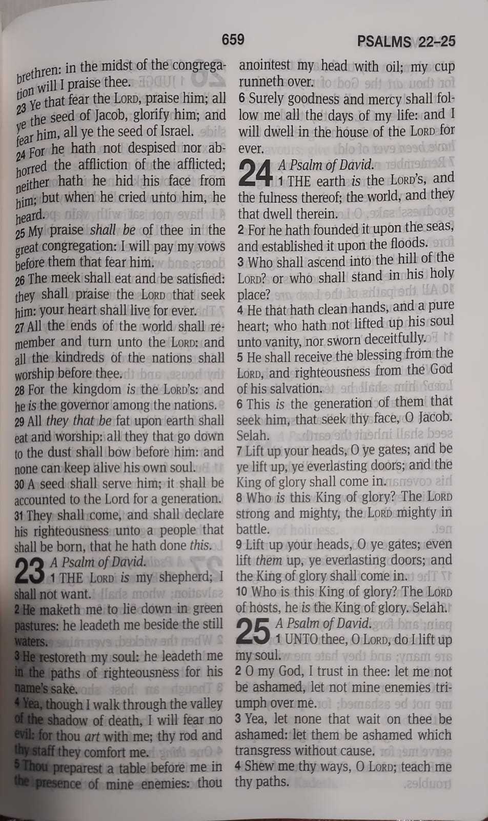 KJV82PL (WJR) Large Print Black Vinyl