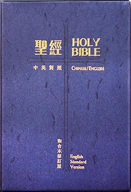 RCU/ESV53PL (Traditional text, Shanti edition)