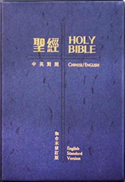 RCU/ESV53PL (Traditional text, Shanti edition)