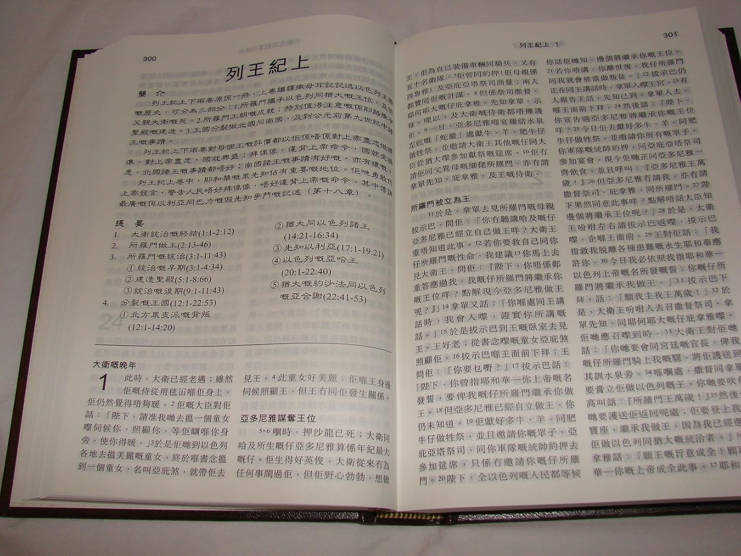 New Cantonese Bible HC (Shangti Edition)