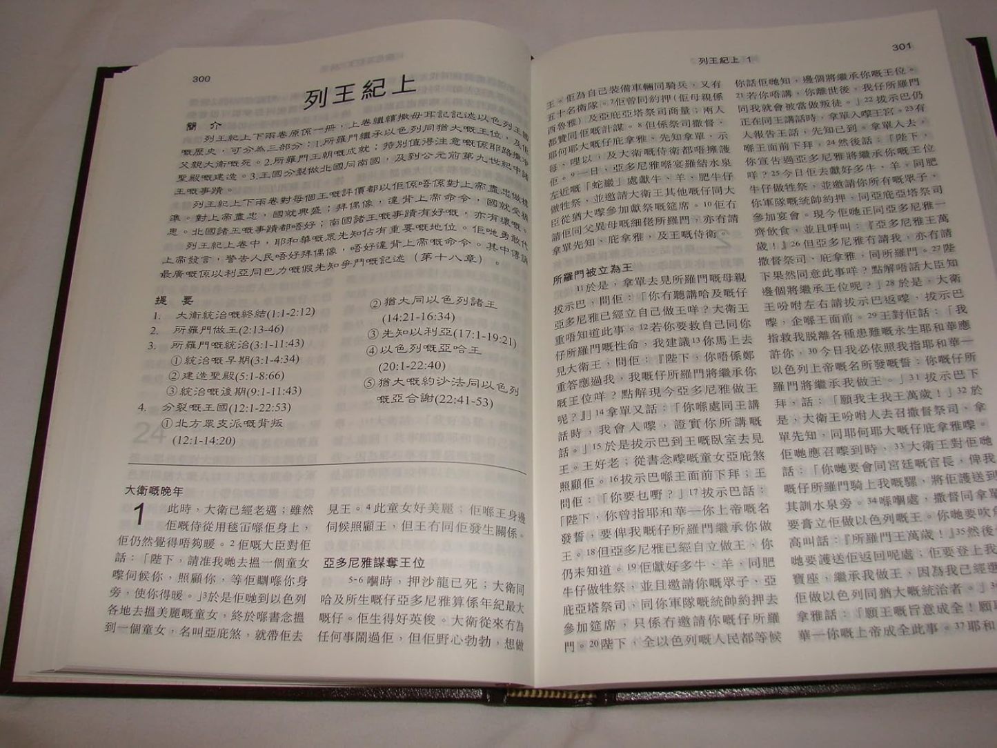 New Cantonese Bible HC (Shangti Edition)