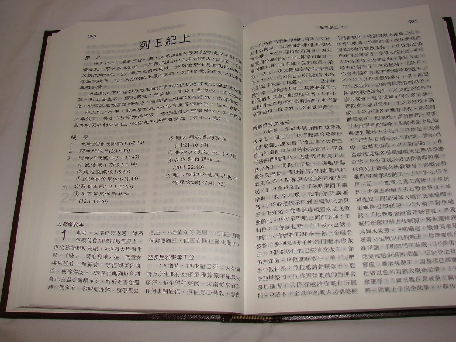 New Cantonese Bible HC (Shangti Edition)