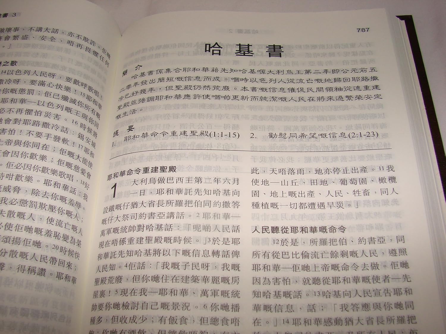 New Cantonese Bible HC (Shangti Edition)