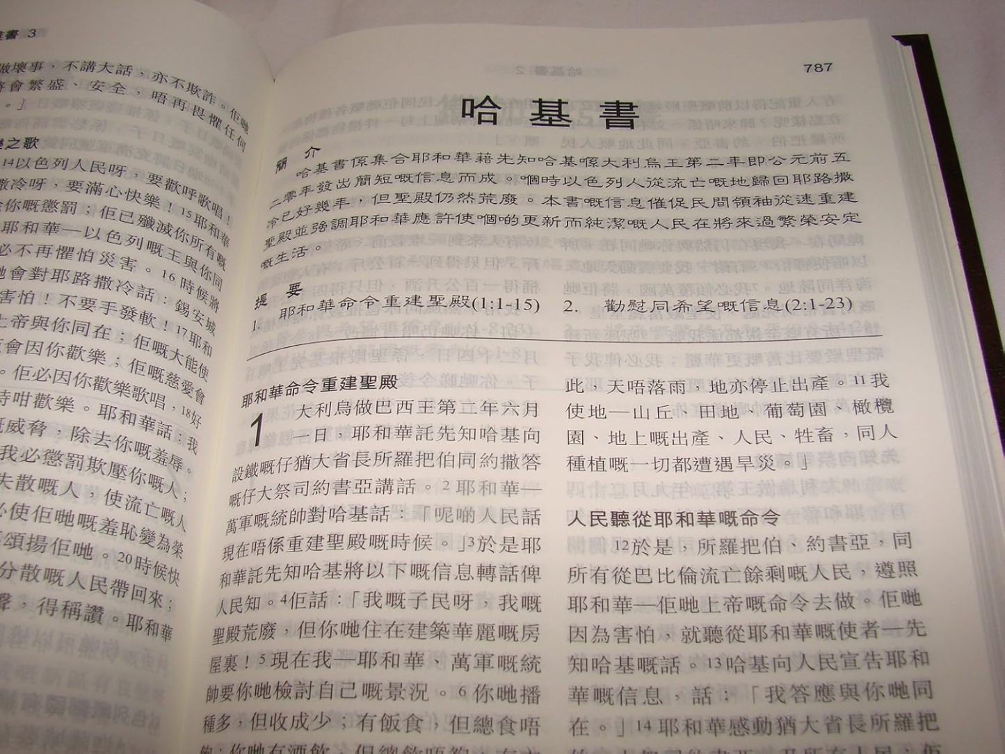 New Cantonese Bible HC (Shangti Edition)