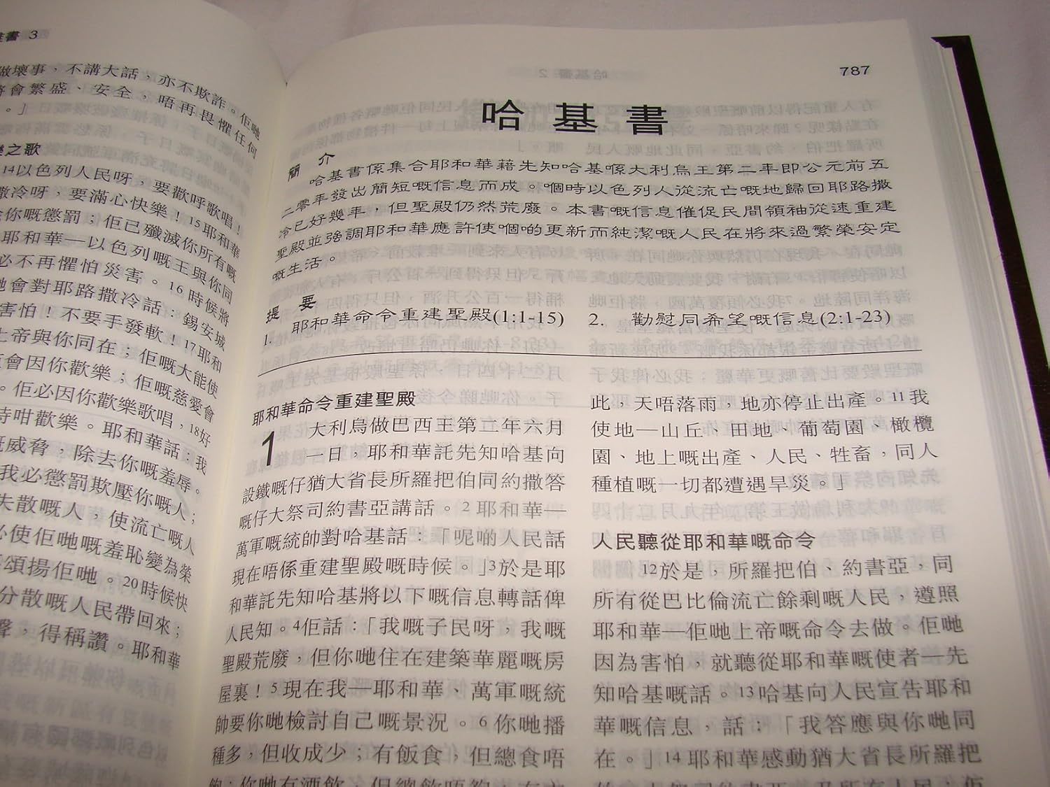 New Cantonese Bible HC (Shangti Edition)