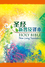 NLT/CNLT (Eng/Chi) Hardcover SM