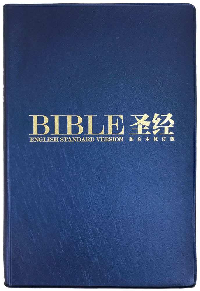 ESV/RCUVSS62PL Blue Vinyl