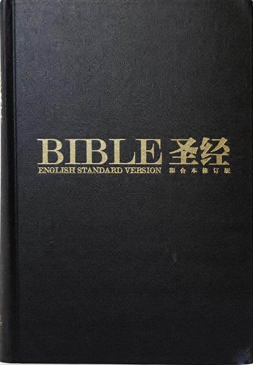ESV/RCUVSS63 Black Hardcover