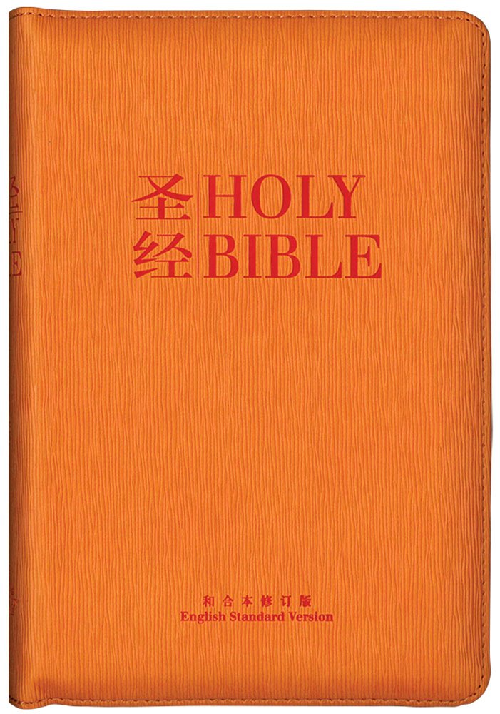 ESV/RCUVSS55DIZ Orange PU with Zip