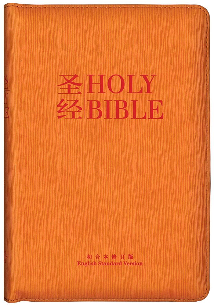 ESV/RCUVSS55DIZ Orange PU with Zip