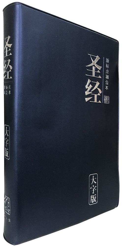 CUNPSS72PL Chi Simplified PV Large Print Blue