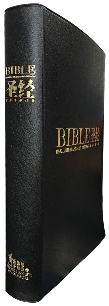 ESV/RCUVSS62PL Black Vinyl